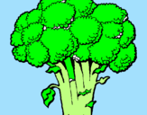 Disegno Broccoli  pitturato su LUCIA