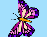 Disegno Farfalla  pitturato su sErEnA