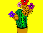 Disegno Fiori di cactus  pitturato su  alessia