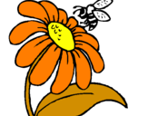 Disegno Margherita con ape  pitturato su MARIA