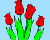 Disegno Tulipani  pitturato su Lidia 