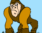Disegno Gorilla pitturato su davide