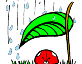 Disegno Coccinella protetta dalla pioggia  pitturato su matteo