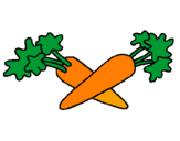 Disegno carote  pitturato su Michela
