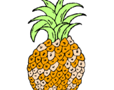 Disegno ananas  pitturato su giada