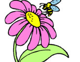 Disegno Margherita con ape  pitturato su umi