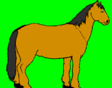 Disegno Cavallo tranquillo  pitturato su bisonte simo