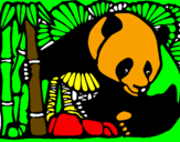 Disegno Orso panda con bambù  pitturato su fghop.,,,mnbcvxz