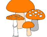 Disegno Funghi pitturato su gigi