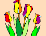 Disegno Tulipani  pitturato su nairuma