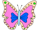 Disegno Farfalla  pitturato su chiara