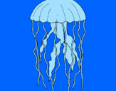Disegno Medusa  pitturato su abbasso juve