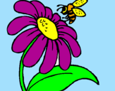 Disegno Margherita con ape  pitturato su fiore e ape