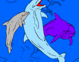 Disegno Delfini che giocano  pitturato su arianna
