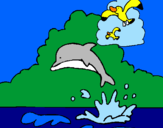 Disegno Delfino e gabbiano  pitturato su mary