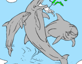 Disegno Delfini che giocano  pitturato su ale