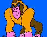 Disegno Gorilla pitturato su DOMENICO