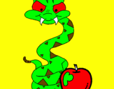 Disegno Serpente con la mela  pitturato su arianna 
