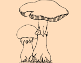 Disegno Funghi pitturato su hiyhkyf8iuo