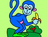 Disegno Scimmietta  pitturato su Giulia