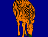 Disegno Zebra  pitturato su tommaso 3