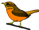 Disegno Uccello selvatico pitturato su ucello