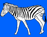 Disegno Zebra  pitturato su gaia e greta