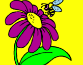 Disegno Margherita con ape  pitturato su elisa fiori