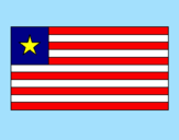 Disegno Liberia pitturato su valerio
