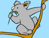 Disegno Koala  pitturato su elena
