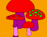 Disegno Funghi pitturato su GIULIA 2004
