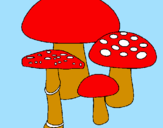 Disegno Funghi pitturato su chiara 4 anni