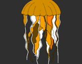 Disegno Medusa  pitturato su pilli