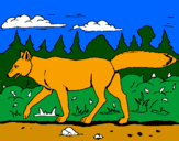 Disegno Coyote pitturato su kevin di  cossato