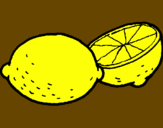 Disegno limone  pitturato su brunella  e aurora