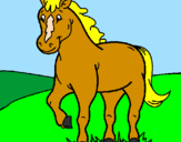 Disegno Cavallo pitturato su sharon