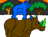 Disegno Rinoceronte e scimmietta  pitturato su .giusèppè