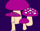 Disegno Funghi pitturato su pilli