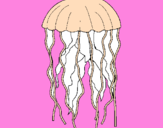 Disegno Medusa  pitturato su stefano