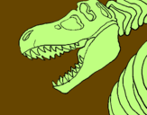 Disegno Scheletro di Tyrannosaurus rex pitturato su denise piazza cl 2a