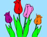 Disegno Tulipani  pitturato su anna