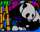 Disegno Orso panda con bambù  pitturato su viola