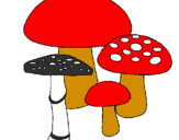 Disegno Funghi pitturato su checca