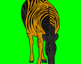 Disegno Zebra  pitturato su davide mancini