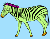 Disegno Zebra  pitturato su MATTIA