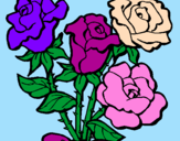 Disegno Mazzo di rose  pitturato su GAIA