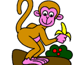 Disegno Scimmietta  pitturato su asia