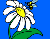 Disegno Margherita con ape  pitturato su sara