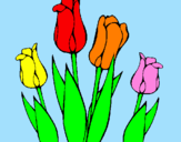 Disegno Tulipani  pitturato su KELLY