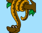 Disegno Serpente avvinghiata ad un albero  pitturato su stefano